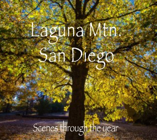Laguna Mtn. San Diego (40pgs, 8x10 version) book cover