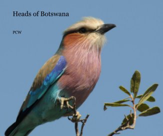 Heads of Botswana book cover