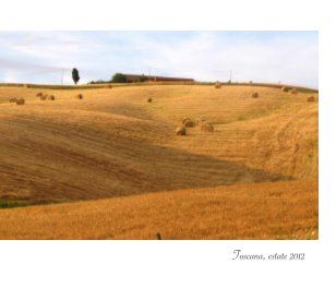 Toscana, estate 2012 book cover