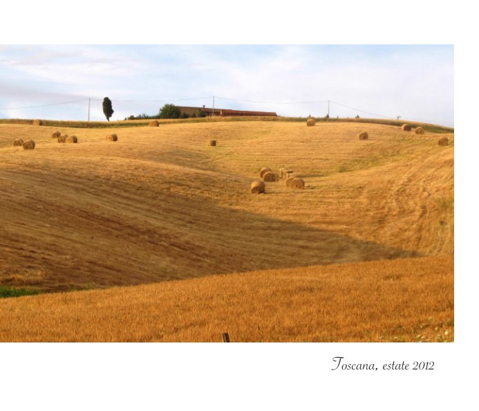 View Toscana, estate 2012 by Irina