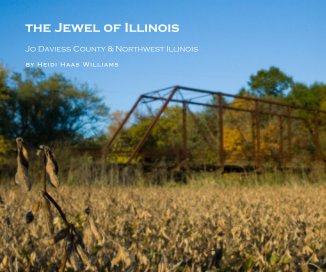 the Jewel of Illinois (with captions) book cover