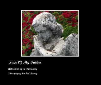 Face Of My Father book cover