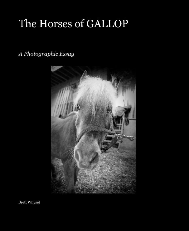 View The Horses of GALLOP by Brett Whysel
