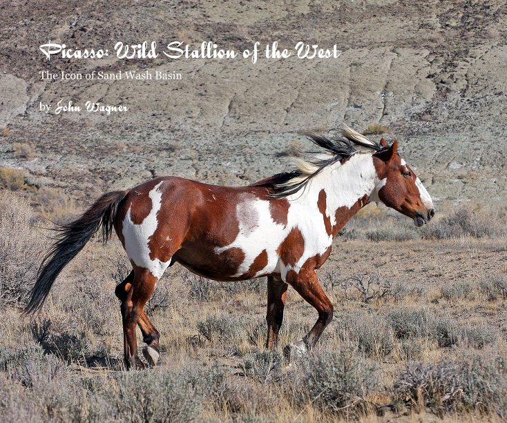 View Picasso: Wild Stallion of the West by John Wagner
