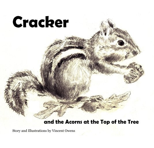 View Cracker by Story and Illustrations by Vincent Owens