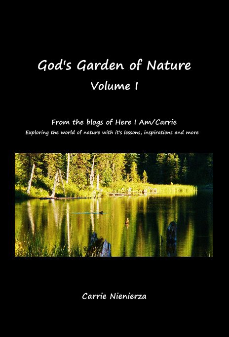 View God's Garden of Nature Volume I by Carrie Nienierza