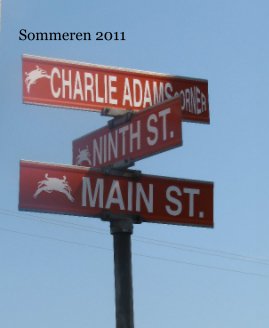 Sommeren 2011 book cover