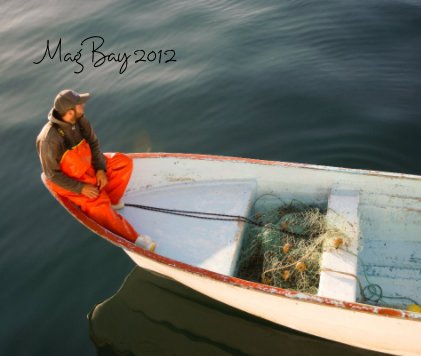 Mag Bay 2012 book cover