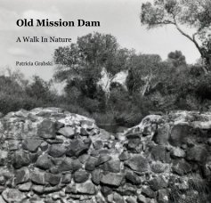 Old Mission Dam book cover