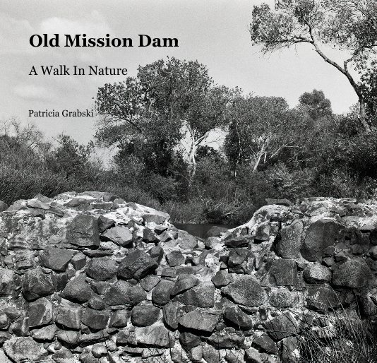 View Old Mission Dam by Patricia Grabski