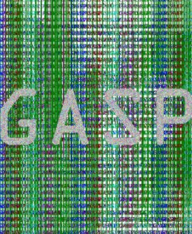 Gasp book cover