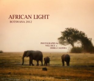 African Light book cover