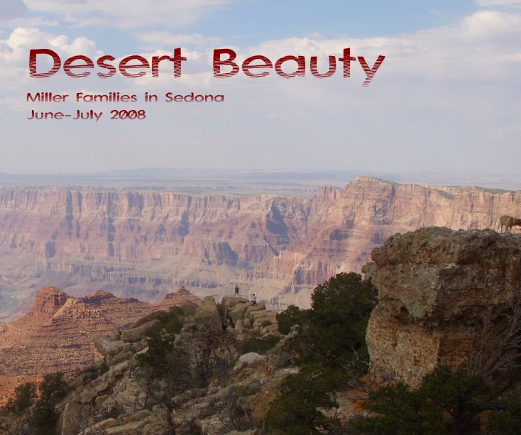 Ver Desert Beauty por Stuart and Sarah Miller