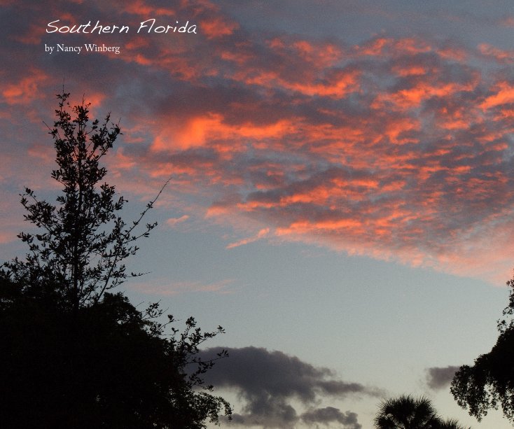 View Southern Florida by Nancy Winberg