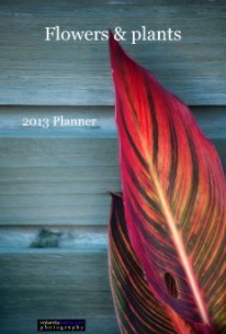 Flowers & plants 2013 Weekly Planner book cover