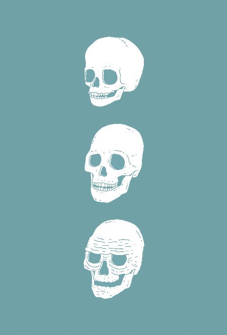 Ver Skulls Notebook por Damien Weighill