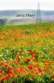 2013 Diary book cover