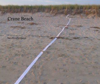 Crane Beach book cover