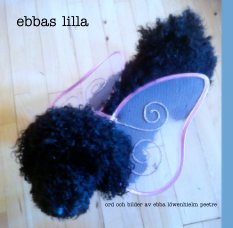 ebbas lilla book cover
