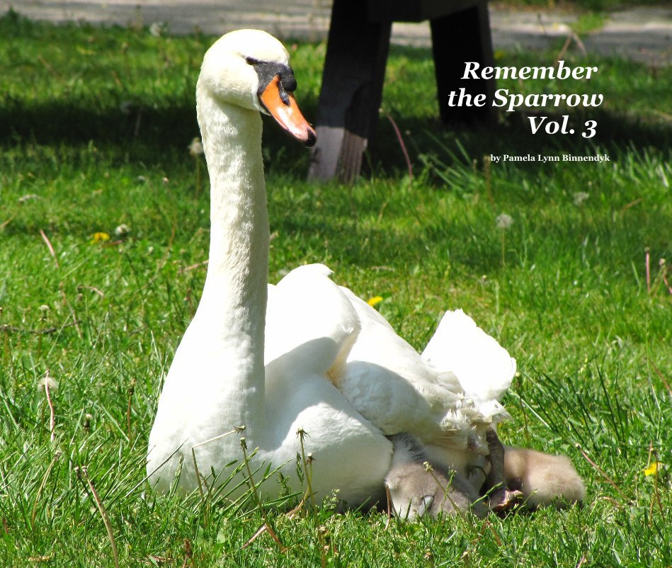 Ver Remember the Sparrow Vol. 3 por Pamela Lynn Binnendyk