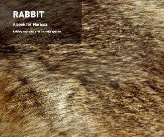 RABBIT: a book for Marissa book cover