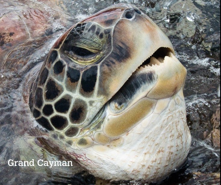 View Grand Cayman by David Candlish
