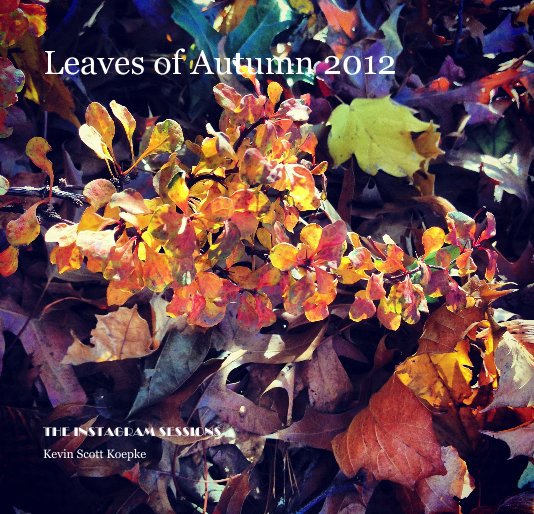View Leaves of Autumn 2012 by Kevin Scott Koepke