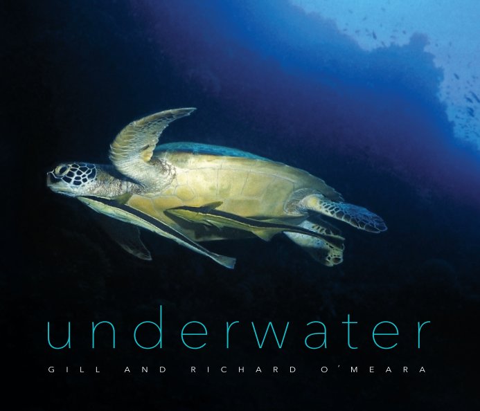 View underwater by Gill and Richard O'Meara