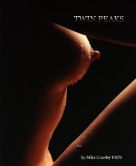 Twin Peaks book cover