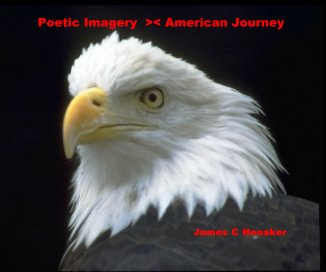 Poetic Imagery >< American Journey book cover