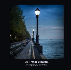 All Things Beautiful book cover