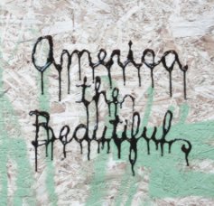 America the Beautifull book cover