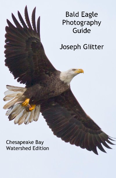 Bald Eagle Photography Guide Joseph Giitter nach Chesapeake Bay Watershed Edition anzeigen