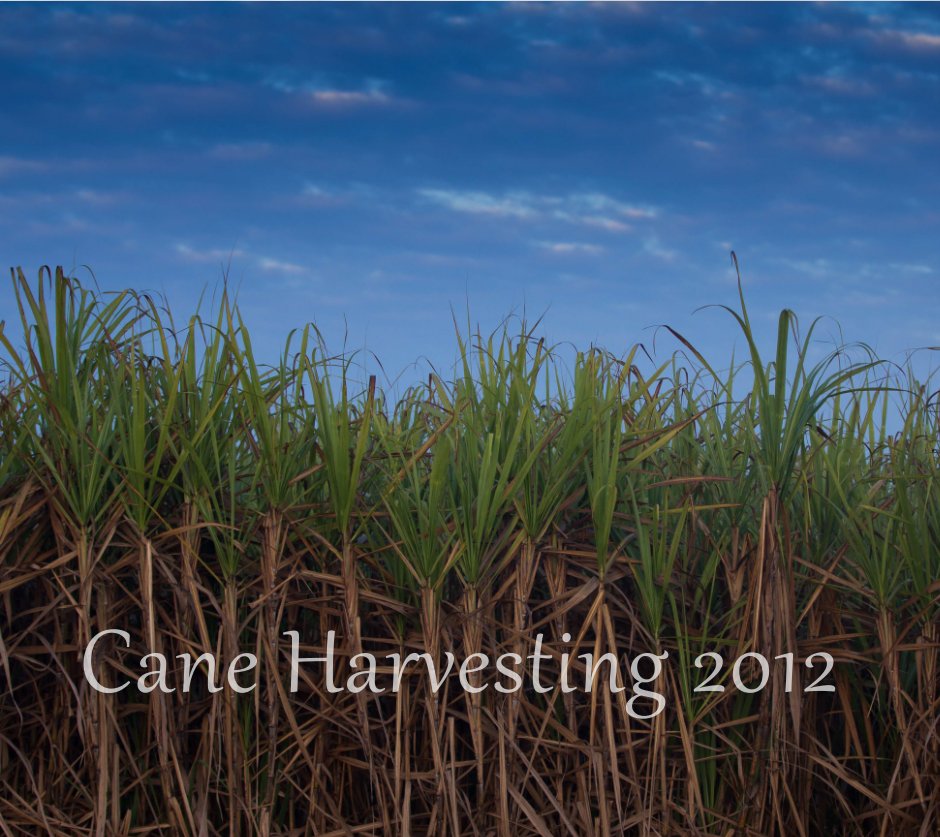 View Cane Harvesting 2012 by Mark Young