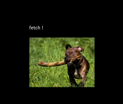 fetch ! book cover