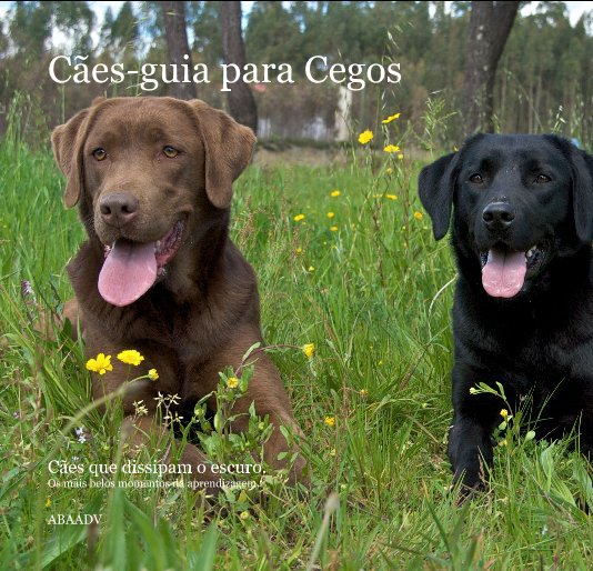 View Cães-guia para Cegos by Alex Fischer for ABAADV.