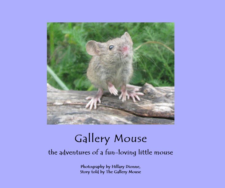 Ver Gallery Mouse por Photography by Hillary Dionne, Story told by The Gallery Mouse