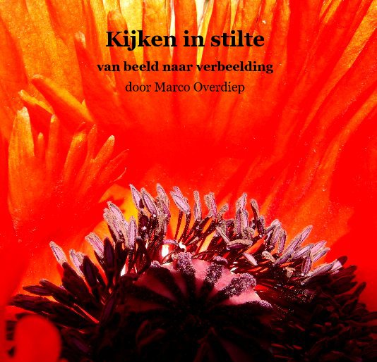 View Kijken in stilte by door Marco Overdiep