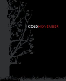 Cold November book cover