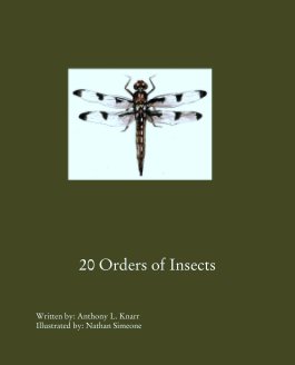20 Orders of Insects book cover