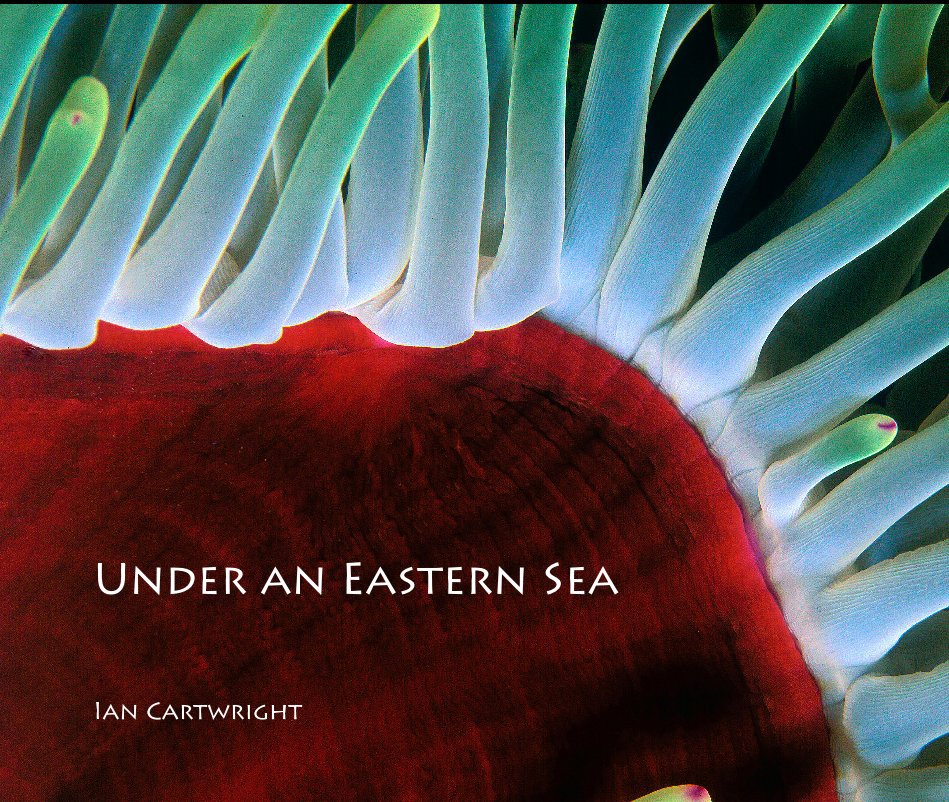 View Under an Eastern Sea by Ian Cartwright