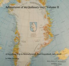 Adventures of an Ordinary Guy: Volume II book cover
