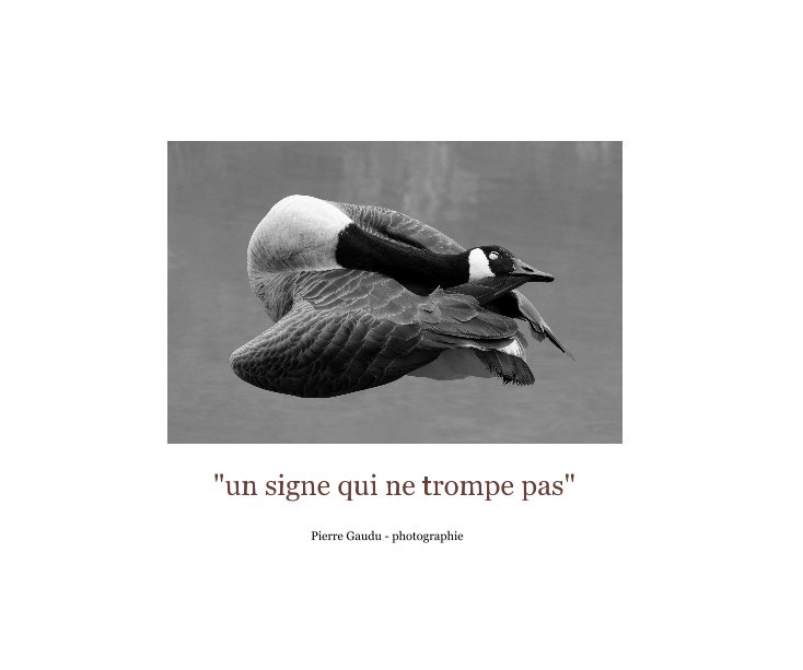 View "un signe qui ne trompe pas" by pierre gaudu