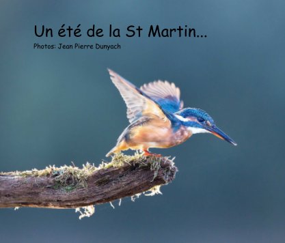 Un été de la St Martin... book cover