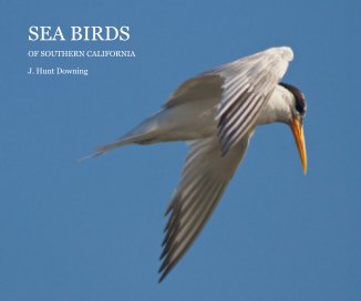 SEA BIRDS book cover