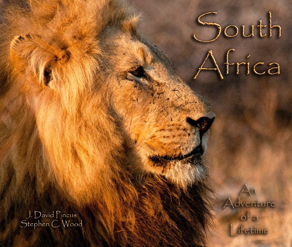 Bekijk South Africa op J. David Pincus & Stephen C. Wood