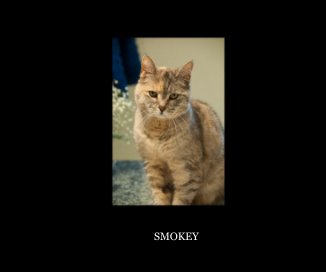 Smokey book cover