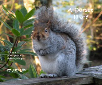 A Dorset Diary book cover