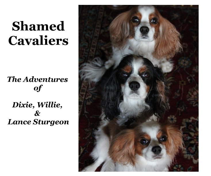 Visualizza Spoiled Cavaliers-The Adventures of di Ron S
