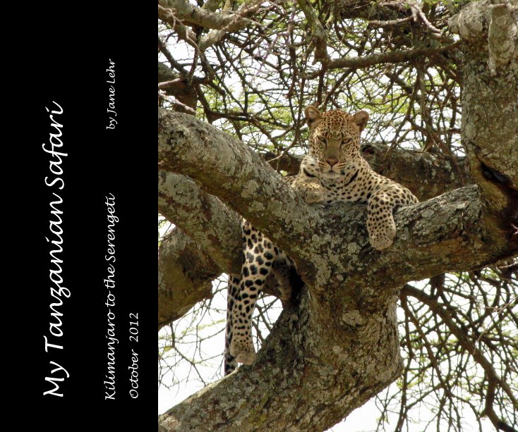 My Tanzanian Safari nach October 2012 anzeigen